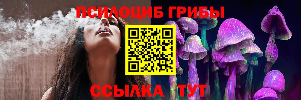 Псилоцибиновые грибы GOLDEN TEACHER Новотроицк