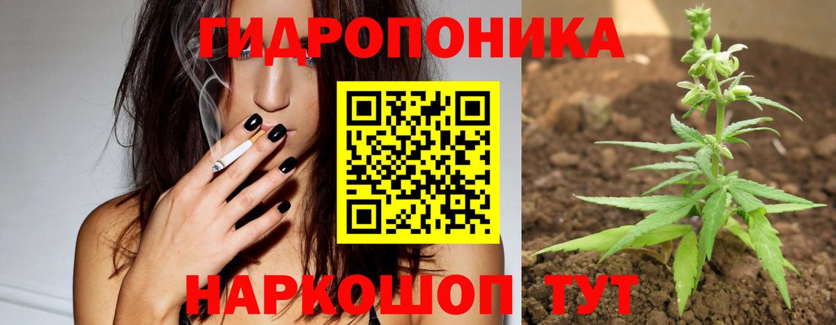 Каннабис индика Новотроицк